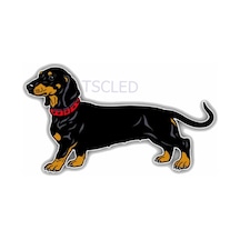 Güzel Pürüzsüz Saçlı Dachshund Köpek Araba Sticker