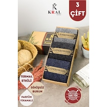 Kral Socks Erkek Koyun Yünlü Lambswool Kışlık 3'lü Kutulu Dikişsiz Çorap Asorti