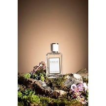 K05 Delina Exclusif Edp 50 Ml Kadın Parfüm Diğer
