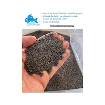 Vatoz Yemi Çöpçü Balığı Yemi Akvaryum Dip Yemi Premium 500 Gram
