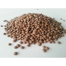 Yeşil Mercimek 10 KG