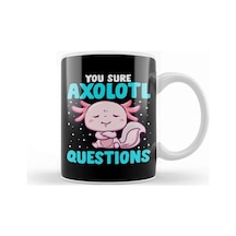 Cute & Funny You Sure Axolotl Questions Fish Puncute & Funny You Sure Axolotl Questions Fish Pun Kupa Bardak Porselen Karışık