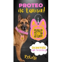 Petjoo 24.Proteo Sarı-Pembe Qr'lı Köpek Künyesi