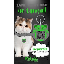 Petjoo 5.Jane Martinke Yeşil-Gri Qr'lı Kedi Künyesi