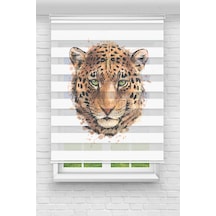 Perdecizade Enxboy Çıta Dijital Baskılı Zebra Perde-cocuk Odası-stor Perde Renkli