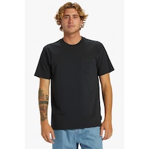 Quiksilver Salt Water Erkek Tişört Aqyzt09558-10010 Siyah