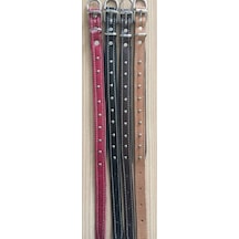 Atlantik Köpek Boyun Tasması Siyah 2 x 45 CM Siyah