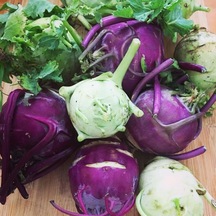 Mor Alabaş Kohlrabi Tohumu 20 Tohum