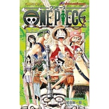 One Piece 28 - Savaş Şeytanı Wiper - Eiiçiro Oda - Gerekli Şeyler