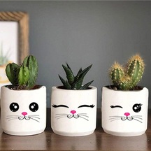 Kedi Yüzü Desenli Saksı Üçlü Set- Küçük Boy Sukulent Saksısı Çizim Hediyelik