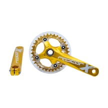 Raptor - Aynakol - A23z-as322p - 34t 170mm - Şeffaf Muahfazalı - Gold Sarı