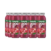 %100 Sıkma Nar Suyu 12x250ml 0.75 LT - 2.5 LT - 12 KG
