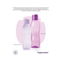 Eco Şişe 750 Ml Sorbe Ve Eco Şişe 1l Mor Çok Renkli