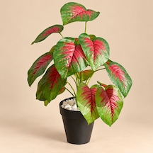 Yapay Islak Doku Caladium Bitkisi 50cm Kırmızı Yeşil Saksılı