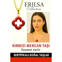 Çok Renkli