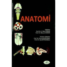 Anatomi