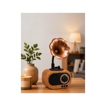 Retro Tasarımlı Mini Bluetooth Hoparlör Ve Fm Radyo Çoklu Medya Yeni Nesil Belirtilmemiş