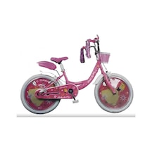 Daafu 2003 20 Jant 6-9 Yaş Lüx Aksesuarlı Çocuk Bisikleti Çok Renkli