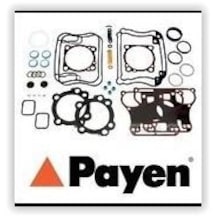 PAYEN DX391 PAYEN MOTOR TAKIM CONTA ÜST 2.8 TDI S9W 2.8 TD