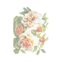 Küçük Kolay Transfer 17x24 Cm Koyu Zemin 1264k