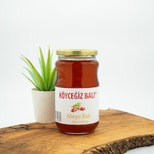 Köyceğiz Balı Meşe Balı Cam Kavanoz 450 G