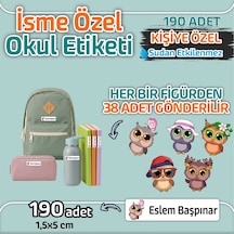 Kapbirhediye Okul Etiketi Isme Özel Kalem Defter Etiketi Baykuş 2 Temalı 190 Adet Çok Renkli