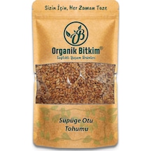 Organik Bitkim Süpürge Otu Tohumu 150 G