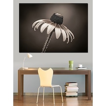 Siyah Beyaz Papatya Detayı Dekoratif Kanvas - Mdf Ahşap Tablo