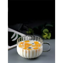 Morponi Borosilikat Çizgili Cam Kupa 350 Ml 6 Adet Şeffaf
