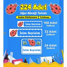 Uğur Böceği Temalı Okul Kreş Kişiye Özel İsim Etiket Seti - Model 129 Çok Renkli