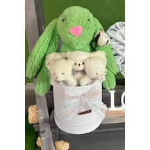 Özel Kutuda, Yeşil Jellycat Tavşan, 5 Beyaz Ayıcık Pamuk Çiçeği Dokunuşlu, Özel Ayıcık Buketi