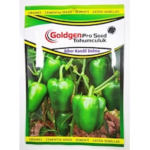 Goldgen Pro Seed Biber Kandil Dolma