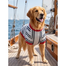 Yacht Club Marin Çizgili Orta Ve Büyük Irk Köpek Tişörtü Lacivert Kırmızı Yazlık Köpek Kıyafeti