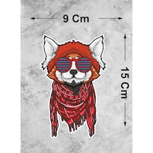 Gözlüklü Kedi Sticker - Araba Oto Motosiklet Karavan Cam Araç Sticker - 00296 15x9 Cm