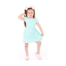 Mint Yeşili