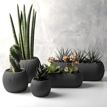 Mercan Saksı Set Dekoratif Drenajlı Çizgili Mat 5 Parça, Gri