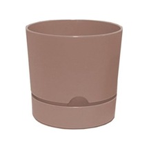 Polıwork Saksı Begonya 15 Cm Krem