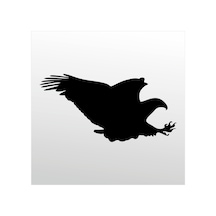 Folyo Sticker Kartal Adkpquy627 90 Cm Uzunluk Siyah