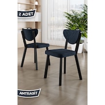 Antrasit - Siyah