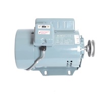 İlik Düğme Makine Motoru 250w 1425r Devir / Yl4824