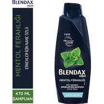 Blendax Men Mentol Ferahlığı Nane Özlü Şampuan 470 ML