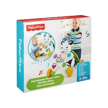 Melodili Zebra Yürüteç Dld80