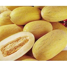 20 Adet Golden Sweet Crispy Kavun Tohumu