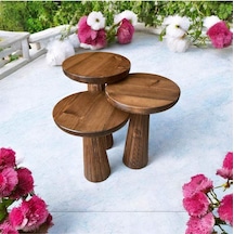 Ahşap Mantar Sehpa 3 Lü Set Ceviz Renk Masif Doğal Fiskos Sehpa Zigon Takımı - Wooden Side Table Ceviz