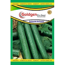 Goldgen Salatalık Beitapha Tohumu 1 Paket