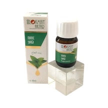 Lokman Aktar Nane Yağı 20 ML