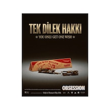 Obsession One Wish Willow Dilek Çubuğu Bir Dilek Hakkı Niyet Ve Manifestasyon Çubuğu Kutulu Anlamlı
