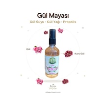 Sirke Günlüğüm Gül Mayası