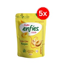 Yayla Freeze Dried Çıtır Çıtır Kayısı 20 Gr 5 X Adet 20 G