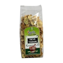 İlayda Deve Tabanı 70 G